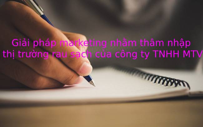Tiểu luận lập kế hoạch kinh doanh: Giải pháp marketing nhằm thâm nhập thị trường rau sạch của công ty TNHH MTV đầu tư và phát triển nông nghiệp Hà Nội trên khu vực Hà Nội