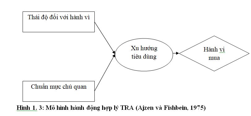 Mô hình hành động hợp lý TRA (Ajzen và Fishbein, 1975)